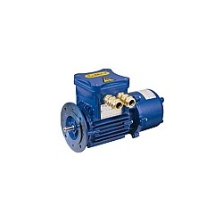 Flameproof electric motors Series D, H, P cast-iron