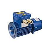 Motoare electrice antiex cu frana Seria D, H, P carcasa fonta