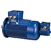 Inverter flameproof-explosionproof motors