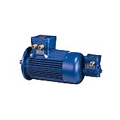 Inverter flameproof-explosionproof motors