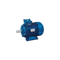 Non sparking electric motors EEX-NA