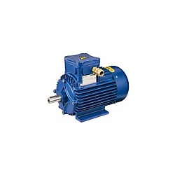 Flameproof electric motors Series A cast-iron 63-315