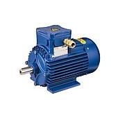 Flameproof electric motors Series A cast-iron 63-315