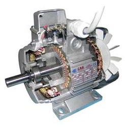 Double polarity electric motors