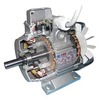 Double polarity electric motors