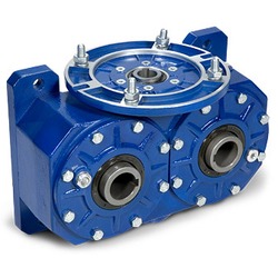 Double output worm gearboxes
